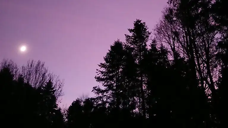 Lilla himmel over Dark Sky Møn og Nyord - foto af Susanne Rosenild